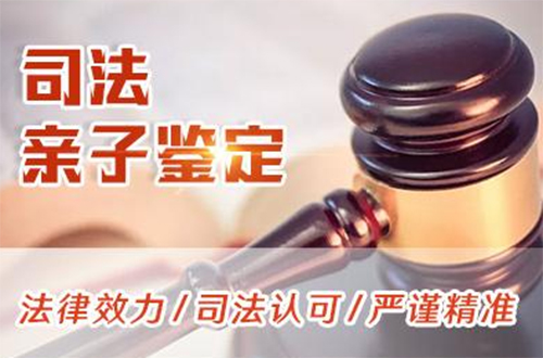 玉溪司法DNA鉴定哪里可以做,玉溪司法DNA鉴定流程是怎样的