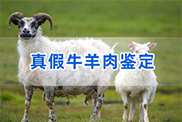 玉溪羊类动物鉴定
